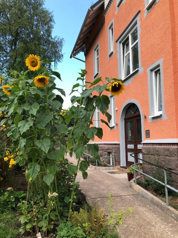 Moderne Ferienwohnung In Alter Villa Georgenthal  Exterior foto